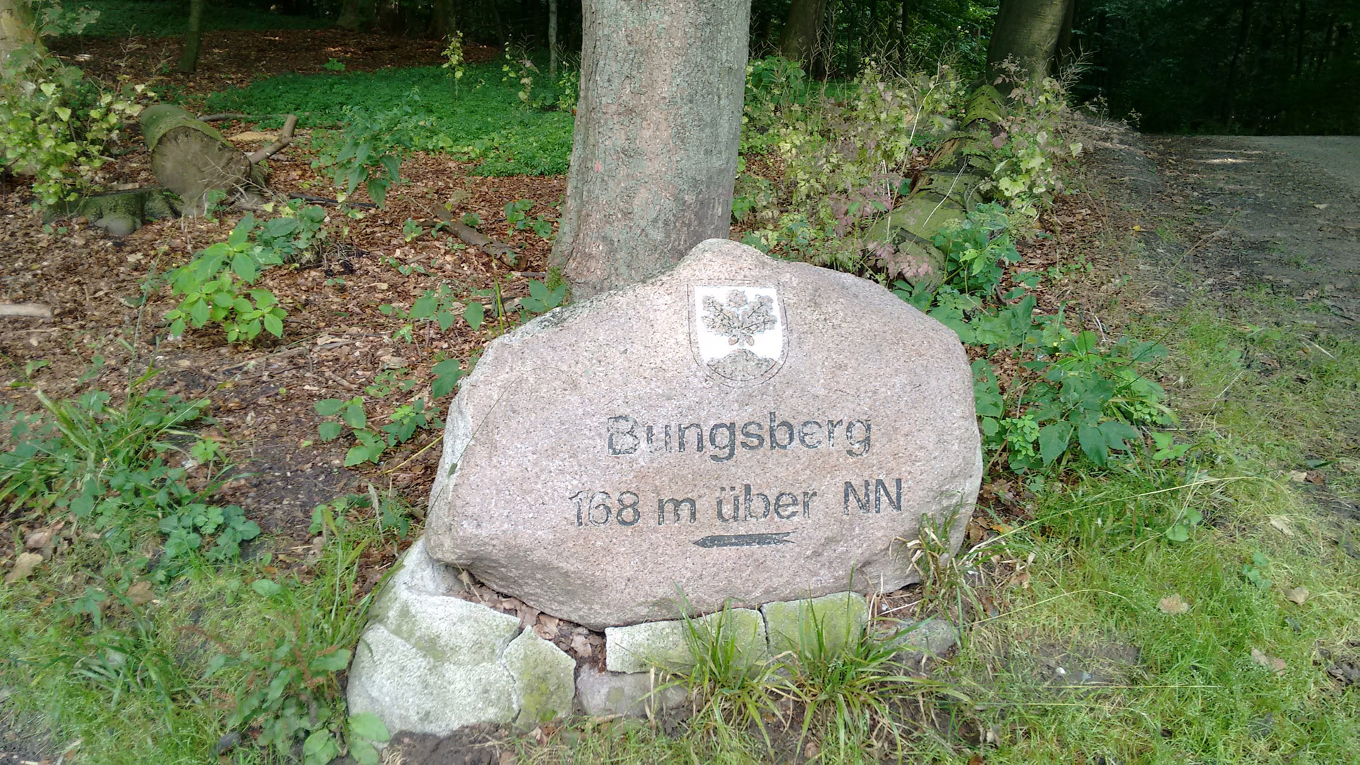 Der Bungsberg