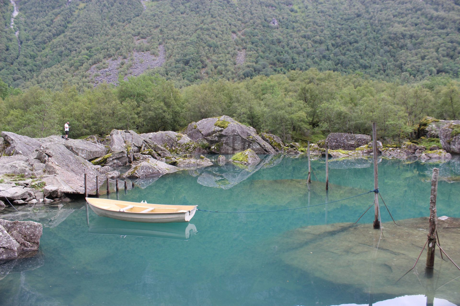 Ein Boot schwimmt auf einen grünen See