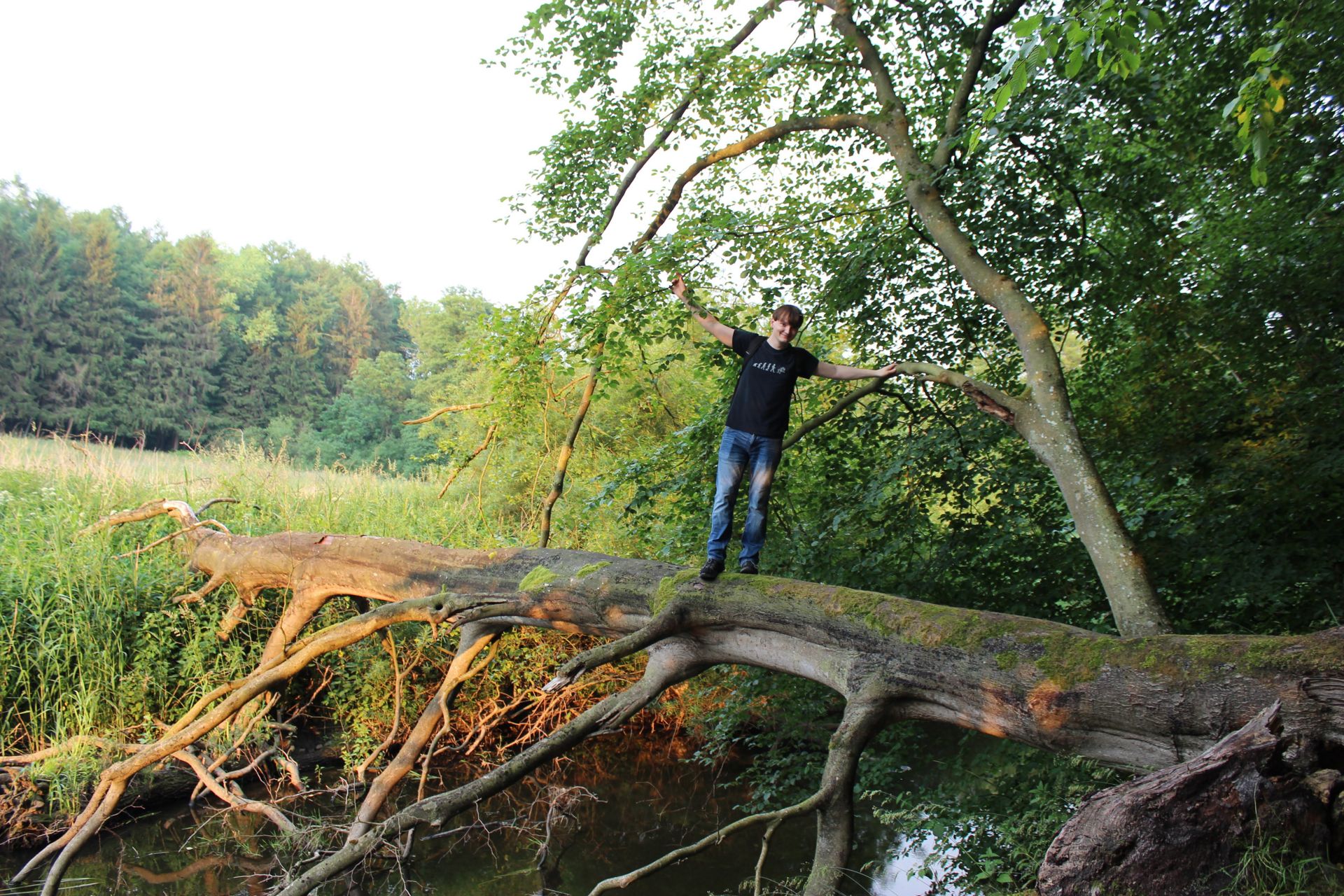 Chris balanciert auf einem Baumstamm