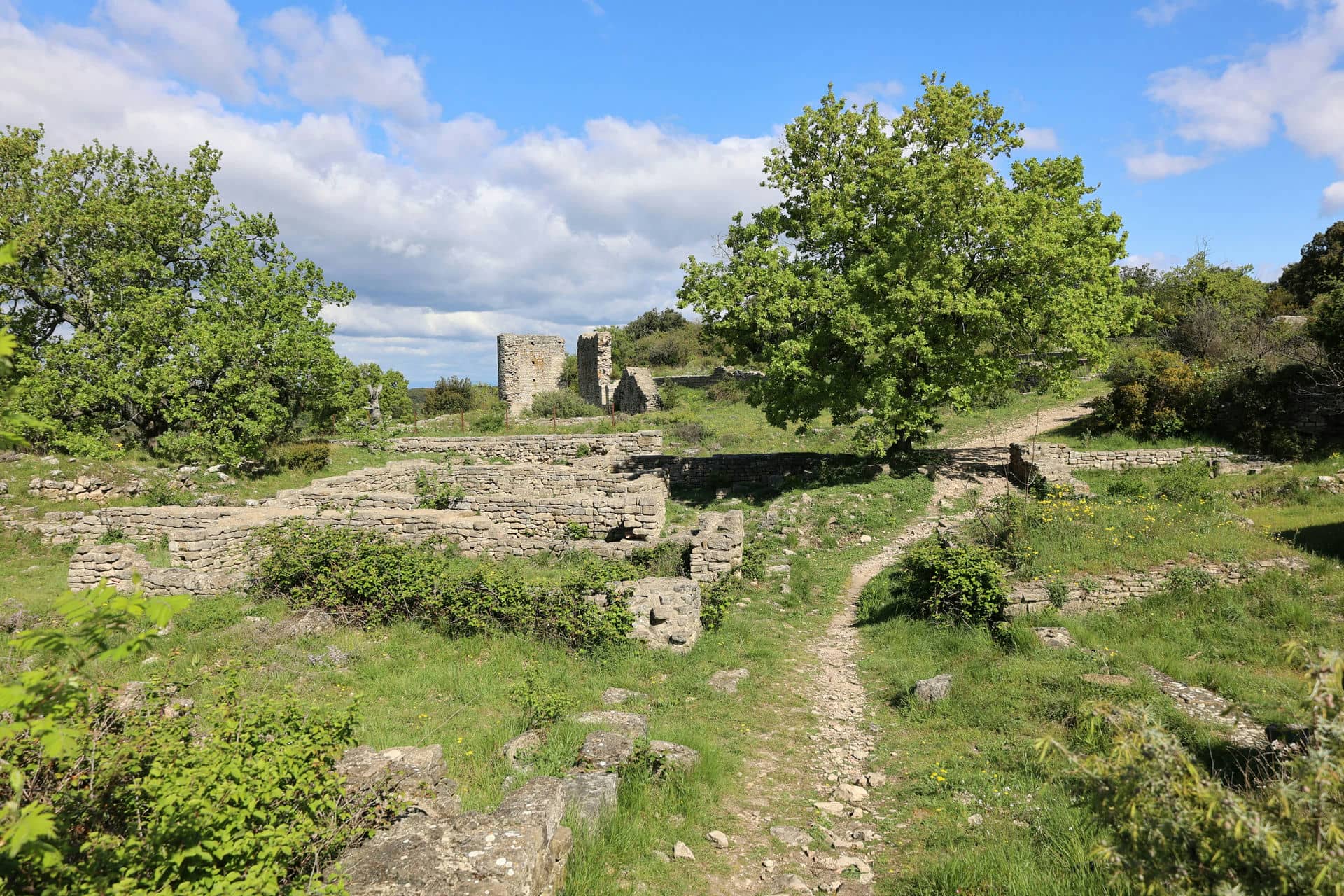 Camp de César